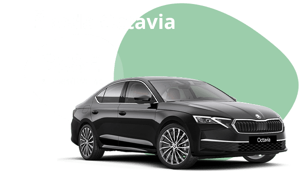 MARZO 2026 – OCTAVIA