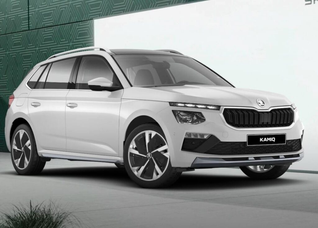 Renting de Skoda para autónomos